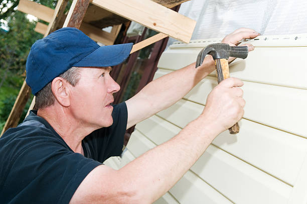 Best Storm Damage Siding Repair  in West Homestead, PA